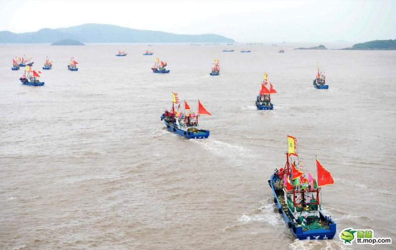 Illustration for article titled China Launches "One Thousand" Ships to Protect Disputed Islands